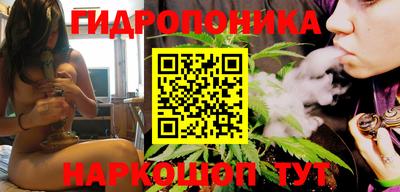СК Краснодар