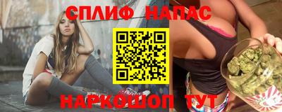 СК Краснодар