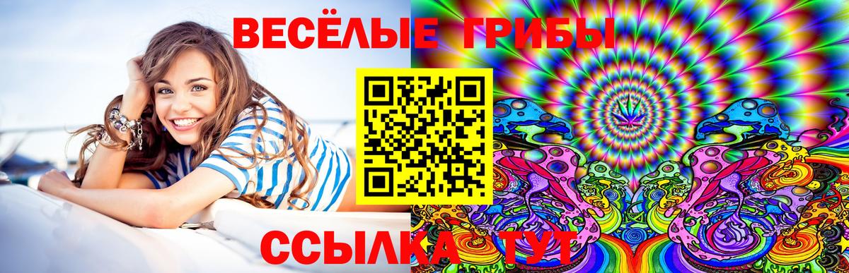 Галлюциногенные грибы Psilocybe Кимовск